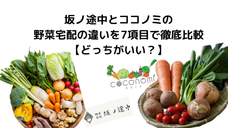 坂ノ途中とココノミの野菜宅配の違いを7項目で徹底比較【どっちがいい？】